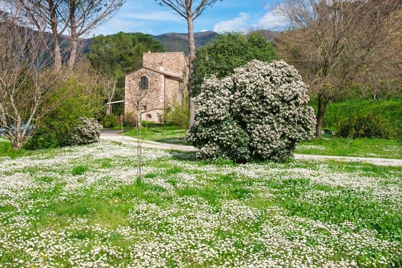 Il Molendino Pisa B&B Calci Exterior foto