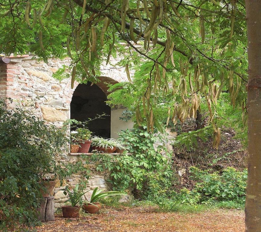 Il Molendino Pisa B&B Calci Exterior foto